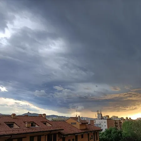 Center Gallery Bolonia