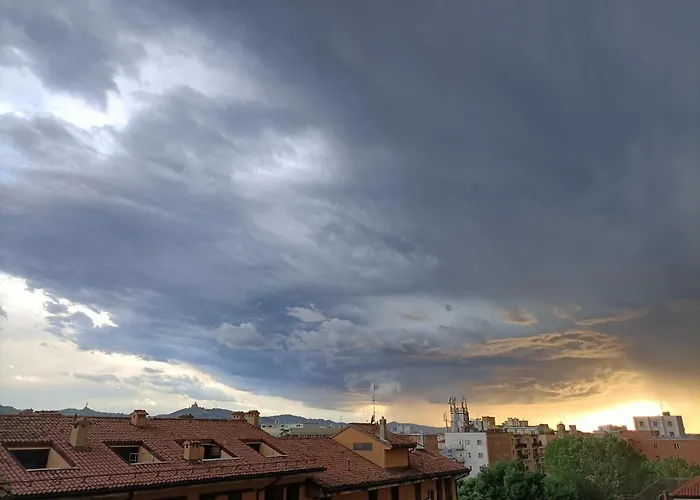 Center Gallery Bolonya